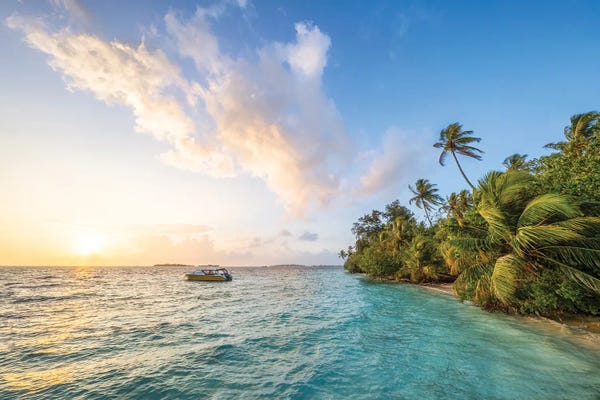Islands: Sunset On A Tropical Island In The Maldives by Jan Becke