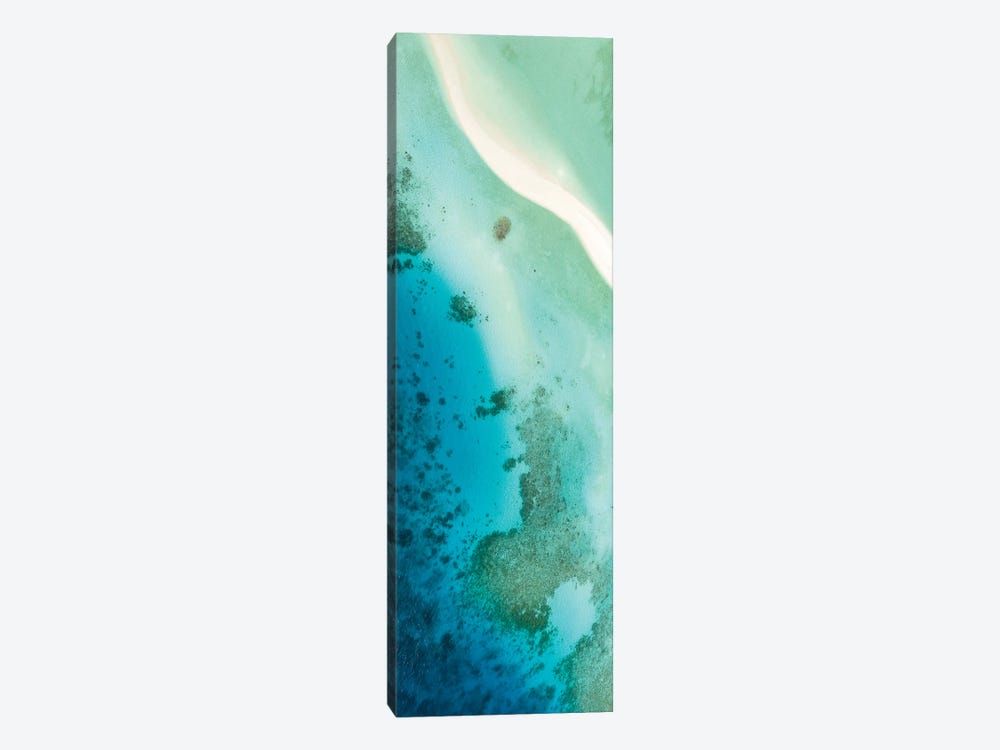 Aerial View Of A Coral Reef In The Maldives by Jan Becke 1-piece Canvas Art