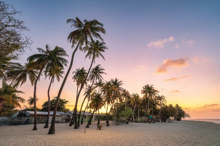 Sunset On The Palm Beach, Maldives