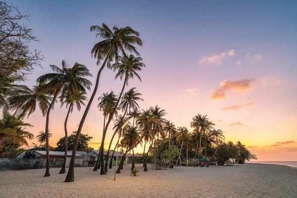 Maldives: Sunset On The Palm Beach, Maldives by Jan Becke
