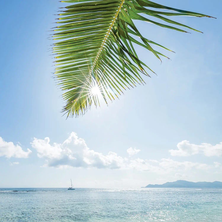 Summer Vacation At A Palm Beach by Jan Becke wall art