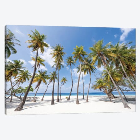 Palm Trees On The Beach On A Tropical Island In The Maldives Canvas Print #JNB2286} by Jan Becke Canvas Print
