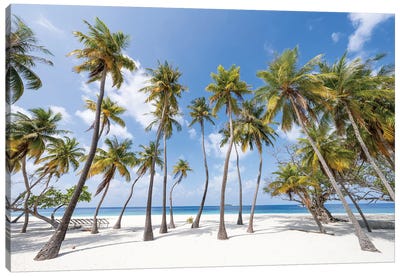 Palm Trees On The Beach On A Tropical Island In The Maldives Canvas Art Print - Island Art