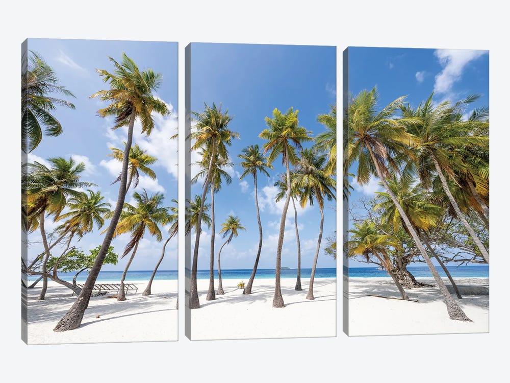 Palm Trees On The Beach On A Tropical Island In The Maldives by Jan Becke 3-piece Canvas Art Print