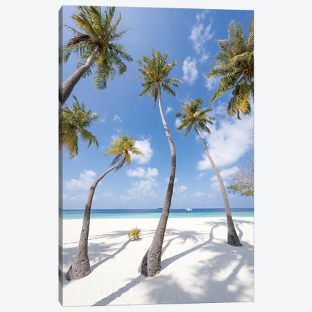 Palm Trees On The Beach, Maldives Canvas Print #JNB2287} by Jan Becke Canvas Print