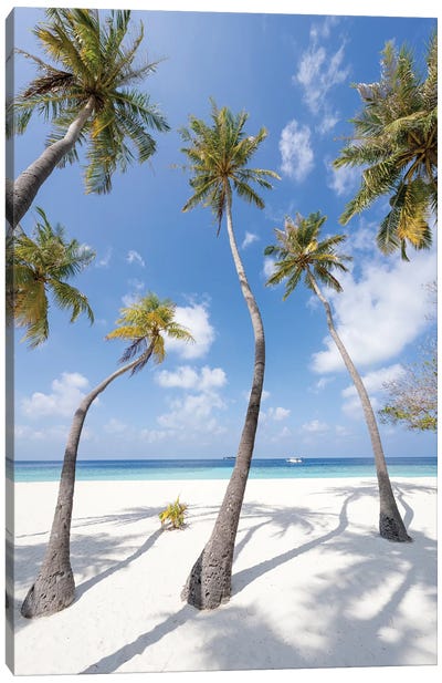 Palm Trees On The Beach, Maldives Canvas Art Print - Maldives
