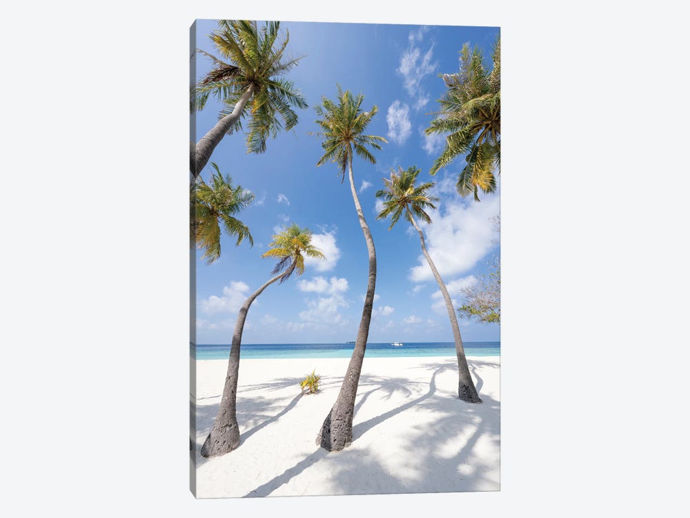 Palm Trees On The Beach, Maldives by Jan Becke 1-piece Canvas Art