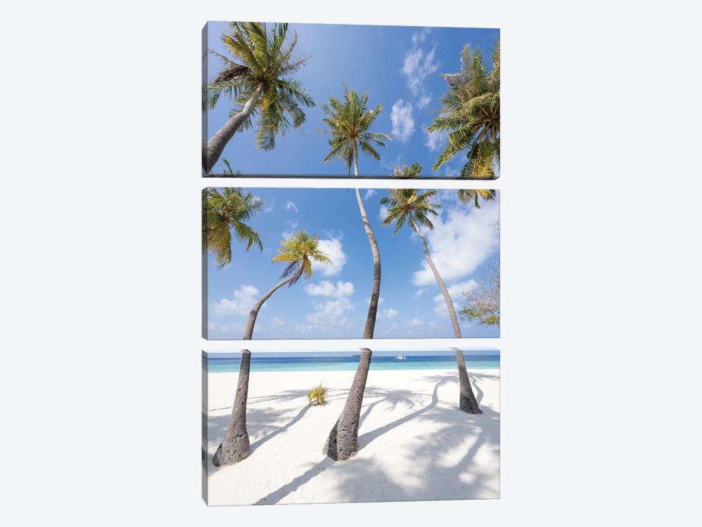 Palm Trees On The Beach, Maldives by Jan Becke 3-piece Canvas Artwork