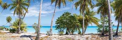 Panoramic View Of Palm Trees On The Beach, Maldives by Jan Becke canvas print