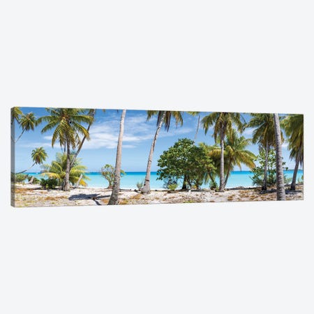 Panoramic View Of Palm Trees On The Beach, Maldives Canvas Print #JNB2291} by Jan Becke Canvas Art Print