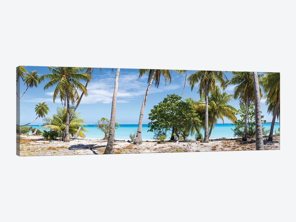 Panoramic View Of Palm Trees On The Beach, Maldives by Jan Becke 1-piece Canvas Print