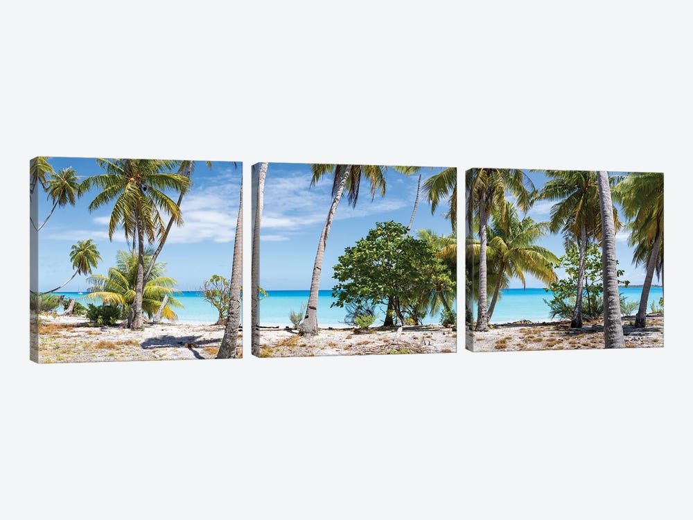 Panoramic View Of Palm Trees On The Beach, Maldives by Jan Becke 3-piece Art Print
