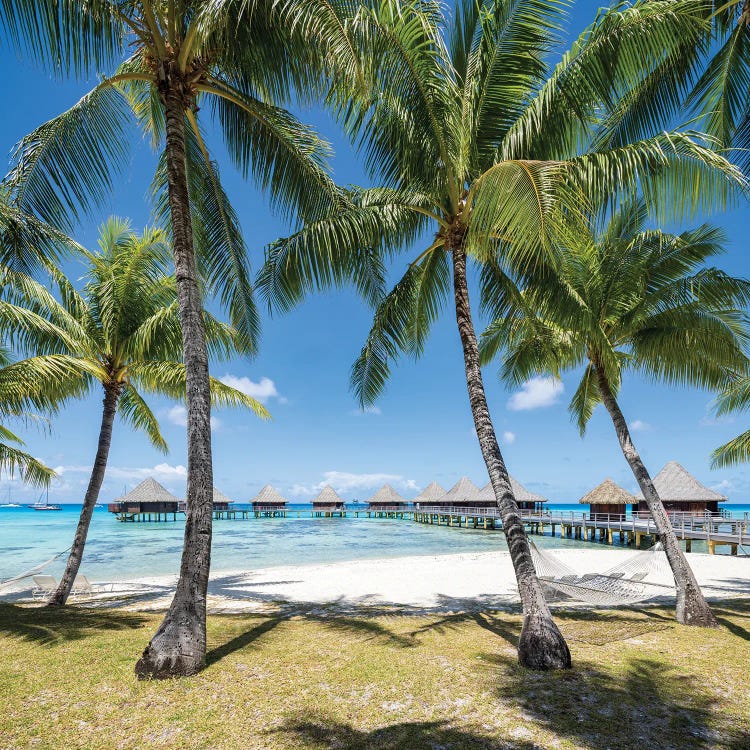 Summer Vacation On The Beach In The South Seas, French Polynesia