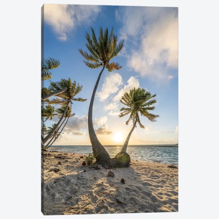 Sunset On A Tropical Beach With Palm Trees Canvas Print #JNB2297} by Jan Becke Canvas Artwork