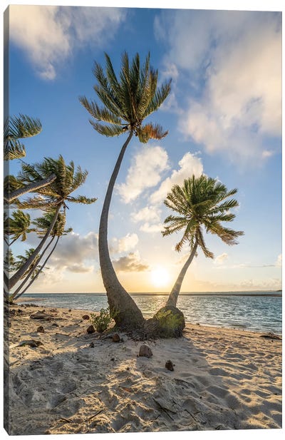 Sunset On A Tropical Beach With Palm Trees Canvas Art Print - French Polynesia Art