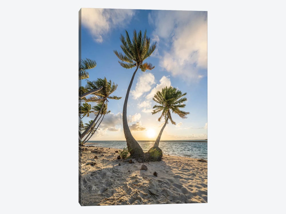 Sunset On A Tropical Beach With Palm Trees by Jan Becke 1-piece Canvas Print