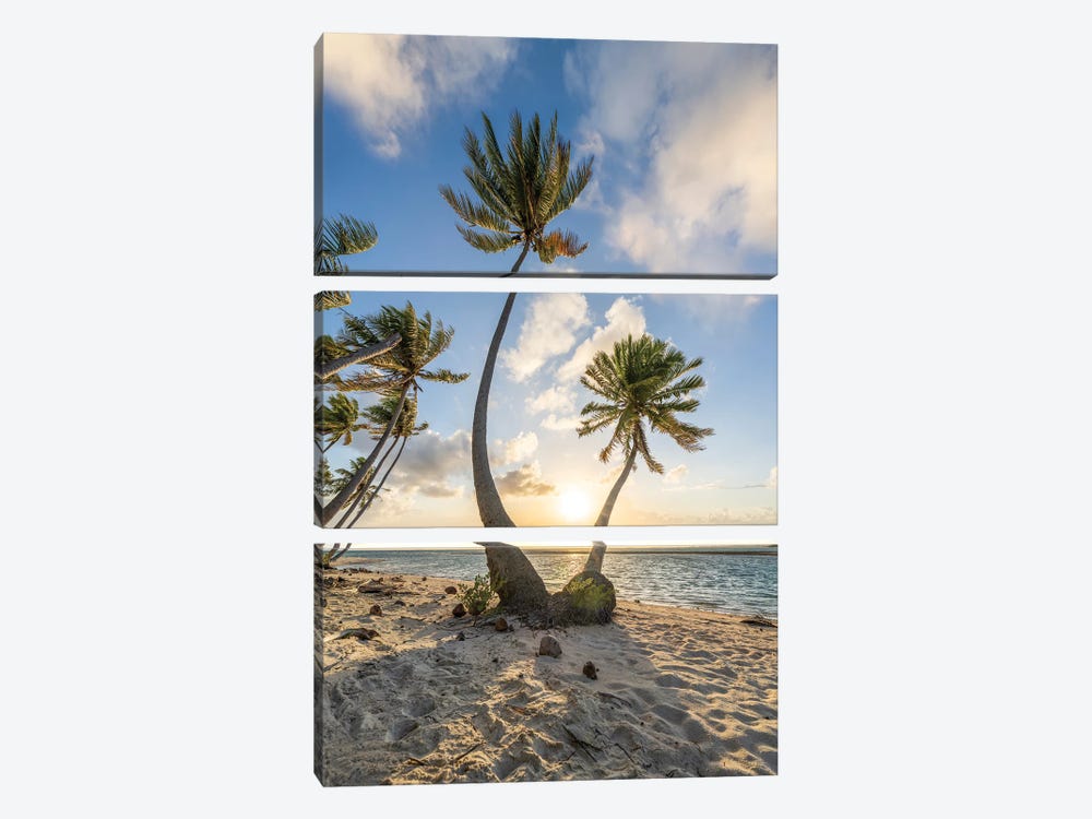 Sunset On A Tropical Beach With Palm Trees by Jan Becke 3-piece Art Print