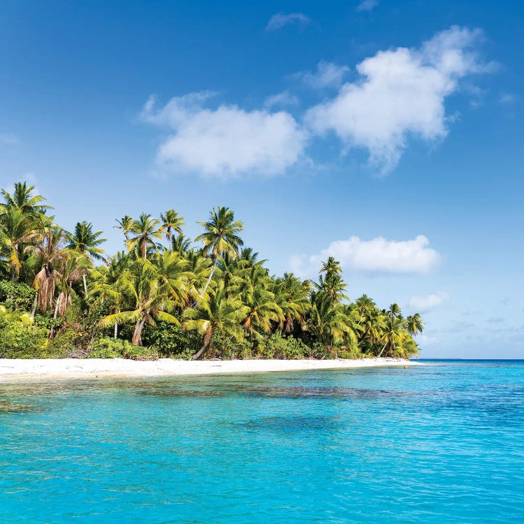 Tropical Island In French Polynesia