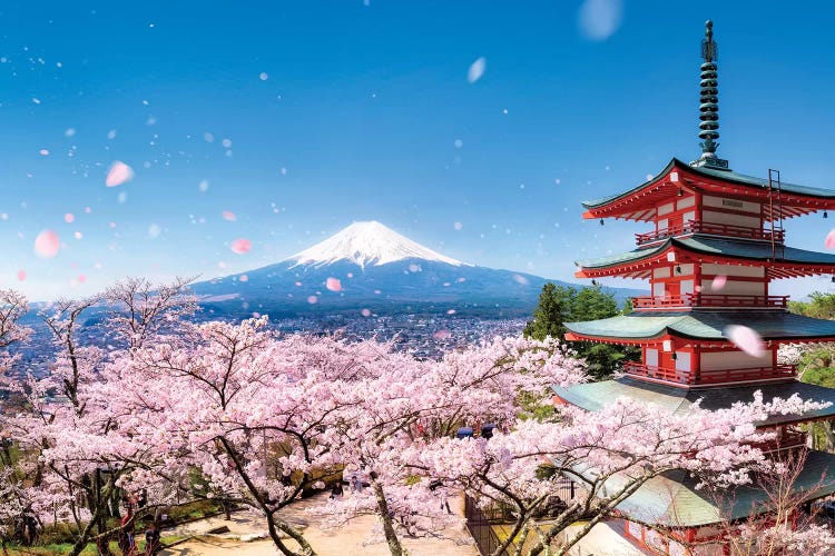 Chureito Pagoda In Spring