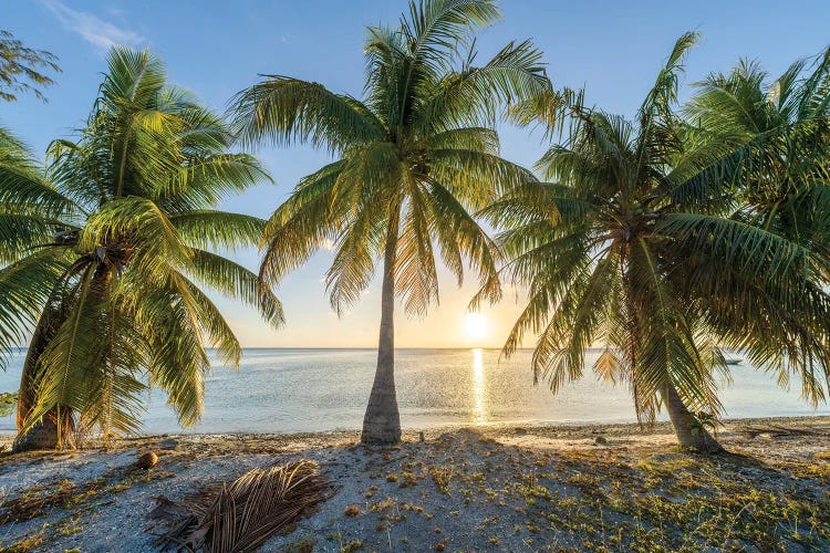 Palm Beach At Sunset