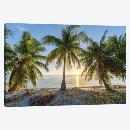 Palm Beach At Sunset Canvas Print #JNB2300} by Jan Becke Canvas Print