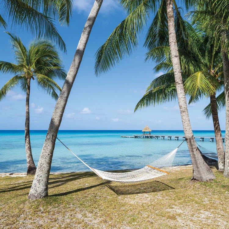 Relaxing Summer Vacation In A Hammock On The Beach, French Polynesia