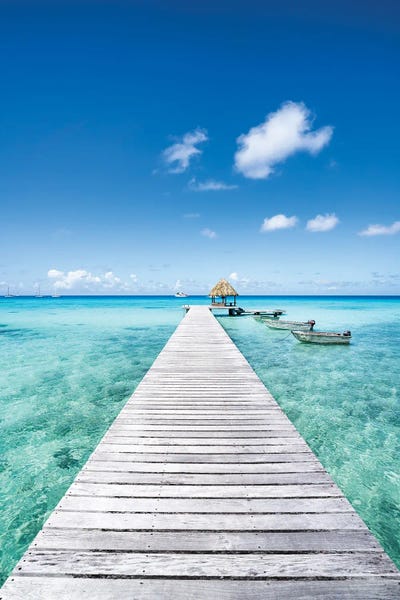 Oceania: Wooden Pier On The Beach by Jan Becke