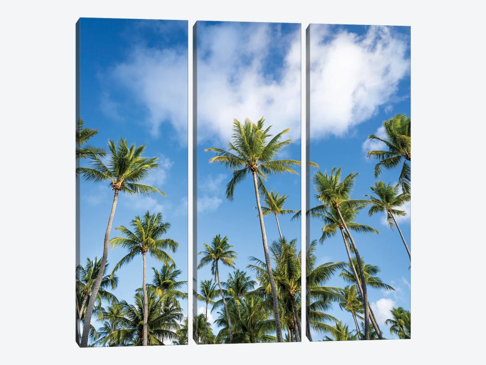 Palm Trees On A Sunny Day by Jan Becke 3-piece Canvas Wall Art