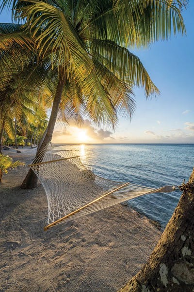Fine Art Print: Sunset In A Hammock On The Beach by Jan Becke