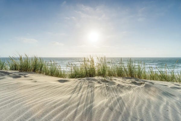 Large Photography - Canvas Prints: Sandy Dune Beach On A Sunny Day by Jan Becke