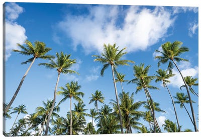 Palm Trees In The South Seas Canvas Art Print - French Polynesia Art