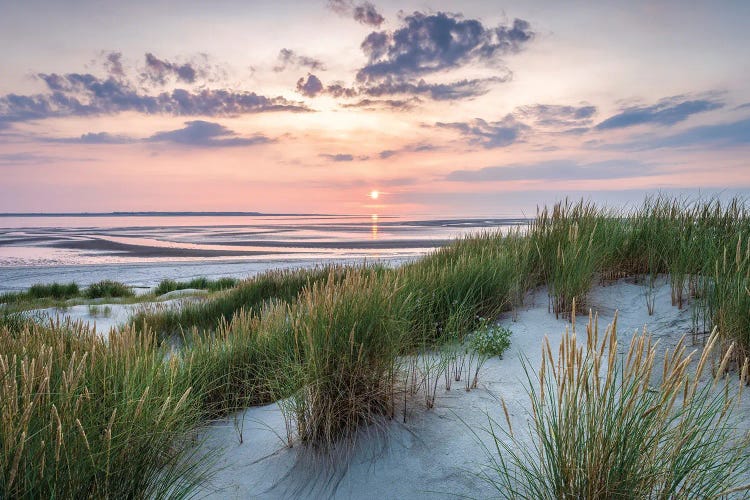 Dune Beach Sunset View by Jan Becke wall art