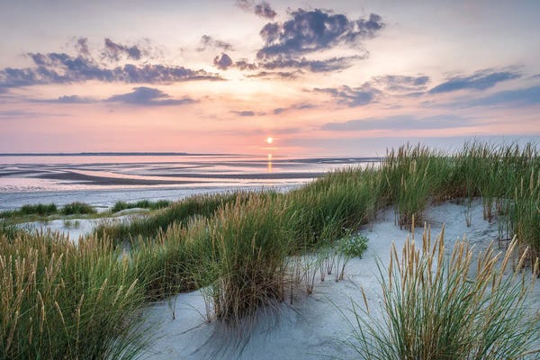 Tropical Beaches: Dune Beach Sunset View by Jan Becke