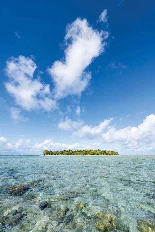 Tropical Island In The South Seas