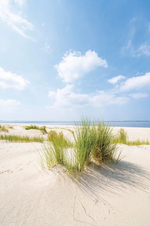 Sunny Day On The Dune Beach