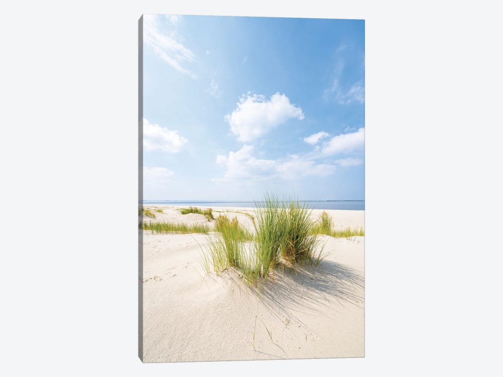 Sunny Day On The Dune Beach by Jan Becke 1-piece Canvas Art