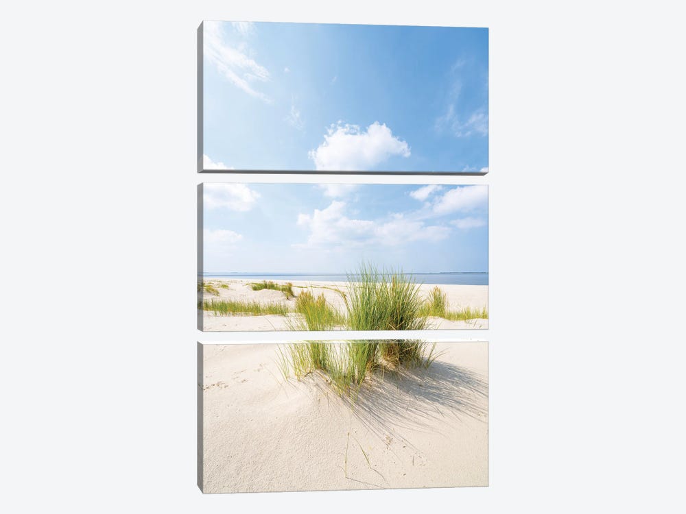 Sunny Day On The Dune Beach by Jan Becke 3-piece Canvas Artwork