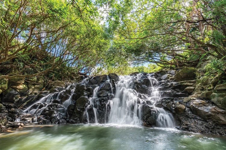 Cascade Vacoas Waterfall, La Vallée Des Couleurs Nature Park, Mauritius Island