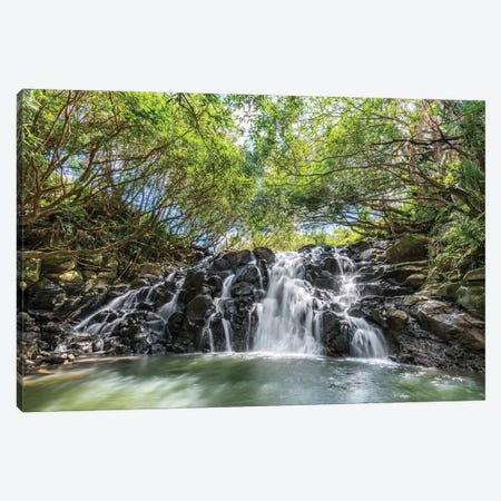 Cascade Vacoas Waterfall, La Vallée Des Couleurs Nature Park, Mauritius Island Canvas Print #JNB2318} by Jan Becke Canvas Art