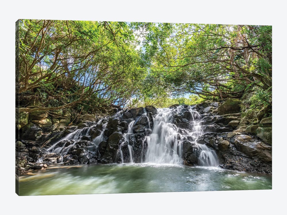Cascade Vacoas Waterfall, La Vallée Des Couleurs Nature Park, Mauritius Island by Jan Becke 1-piece Art Print