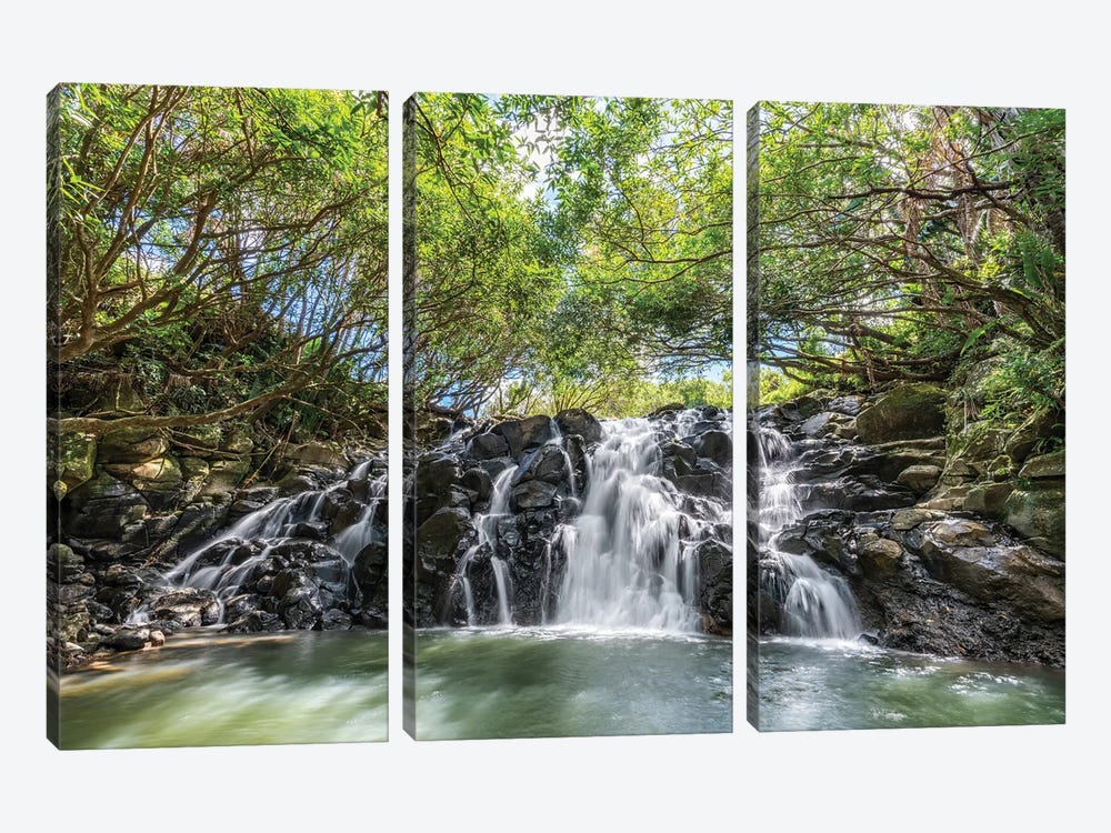 Cascade Vacoas Waterfall, La Vallée Des Couleurs Nature Park, Mauritius Island by Jan Becke 3-piece Art Print