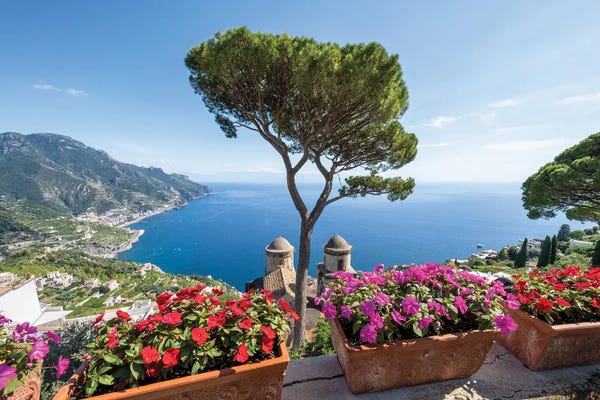 Coastlines: Pine Tree At The Garden Of Villa Rufolo, Ravello, Amalfi Coast, Italy by Jan Becke