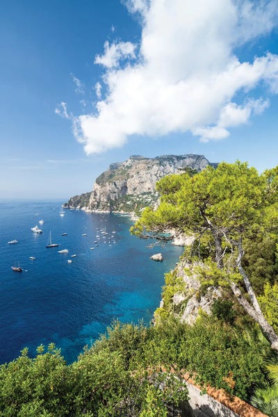 Belvedere Tragara In summer, Capri Island, Italy by Jan Becke framed wall art