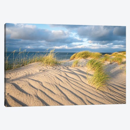 Sand Dunes With Beach Grass On A Sunny Day Canvas Print #JNB2332} by Jan Becke Canvas Art