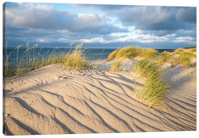 Sand Dunes With Beach Grass On A Sunny Day Canvas Art Print - Coastal Sand Dune Art