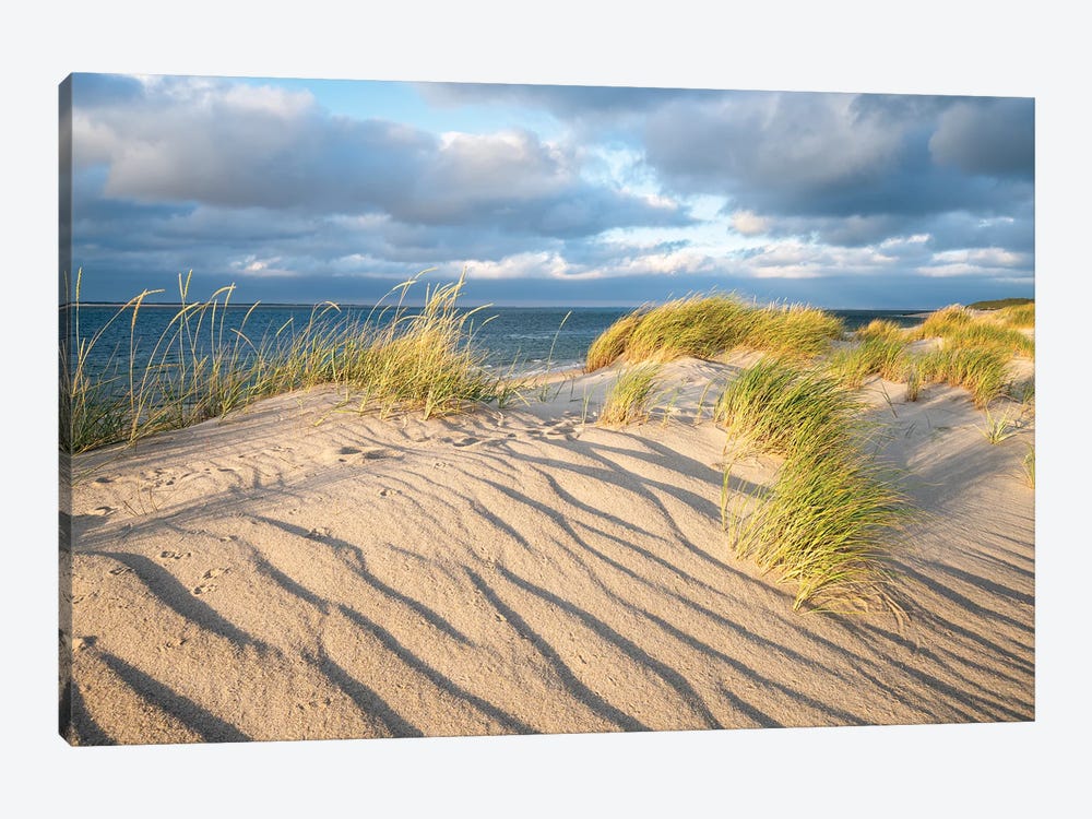 Sand Dunes With Beach Grass On A Sunny Day by Jan Becke 1-piece Canvas Print