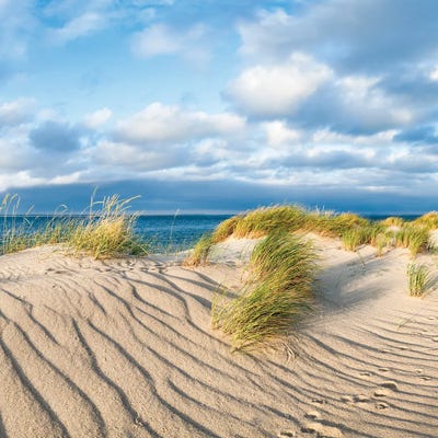 Sand Dunes With Beach Grass Near The Sea by Jan Becke canvas print