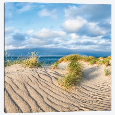 Sand Dunes With Beach Grass Near The Sea Canvas Print #JNB2333} by Jan Becke Canvas Art