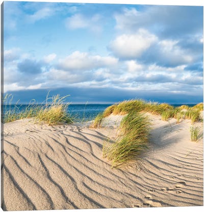 Sand Dunes With Beach Grass Near The Sea Canvas Art Print - Coastal Sand Dune Art