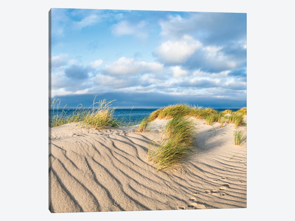 Sand Dunes With Beach Grass Near The Sea by Jan Becke 1-piece Canvas Art